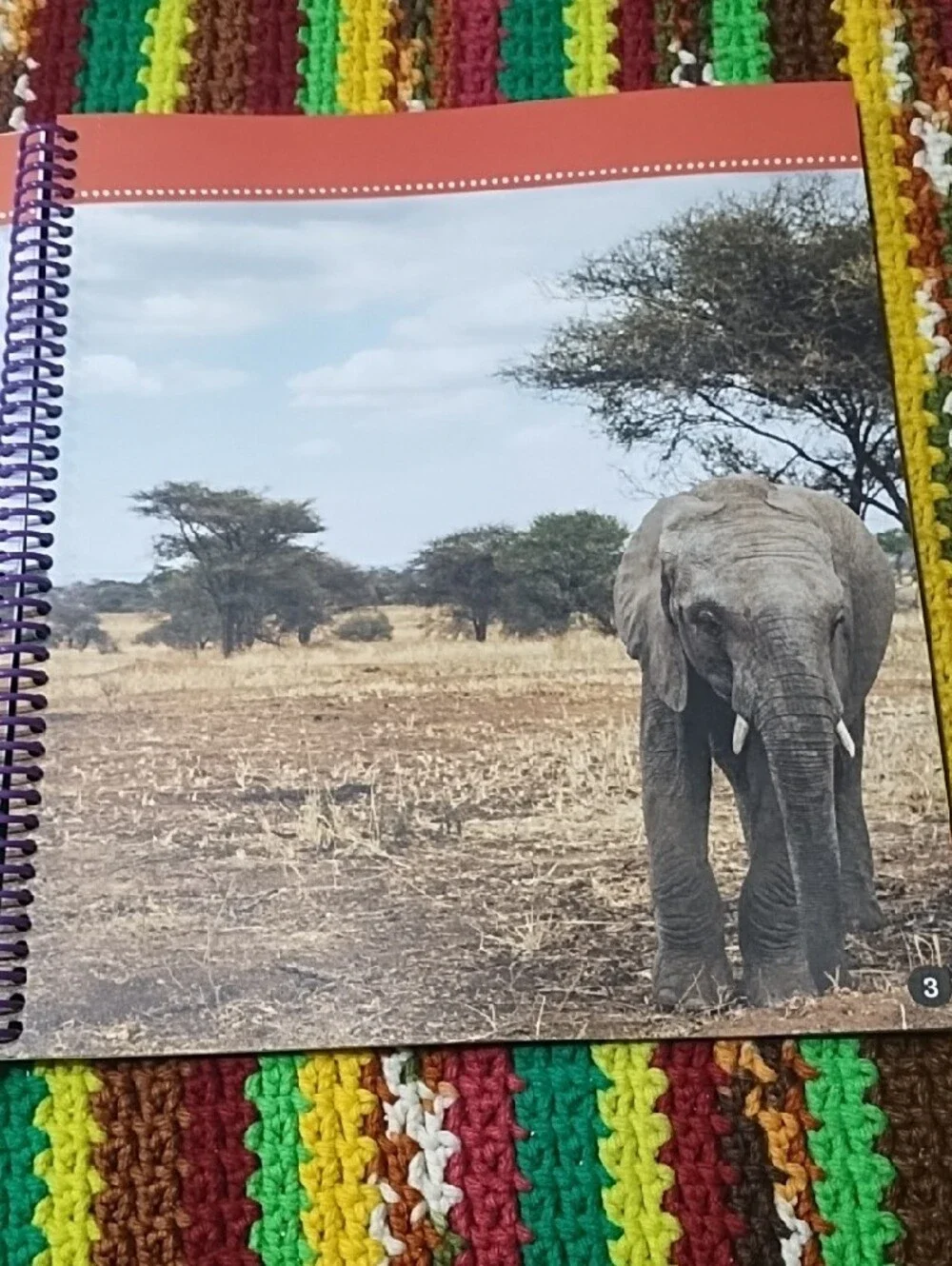 Safari Animals Sticker-by-Number Activity Book - Orange New. Age 3 And Up.